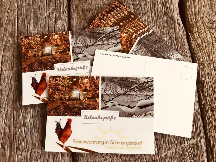 Ferienwohnung In Schmargendorf Bei Angermuende Angermunde Dış mekan fotoğraf
